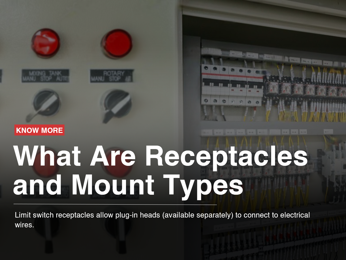 What Are Receptacles and Mount Types What Are Receptacles and Mount Types